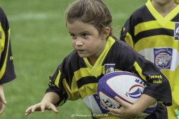 feminines edr 1